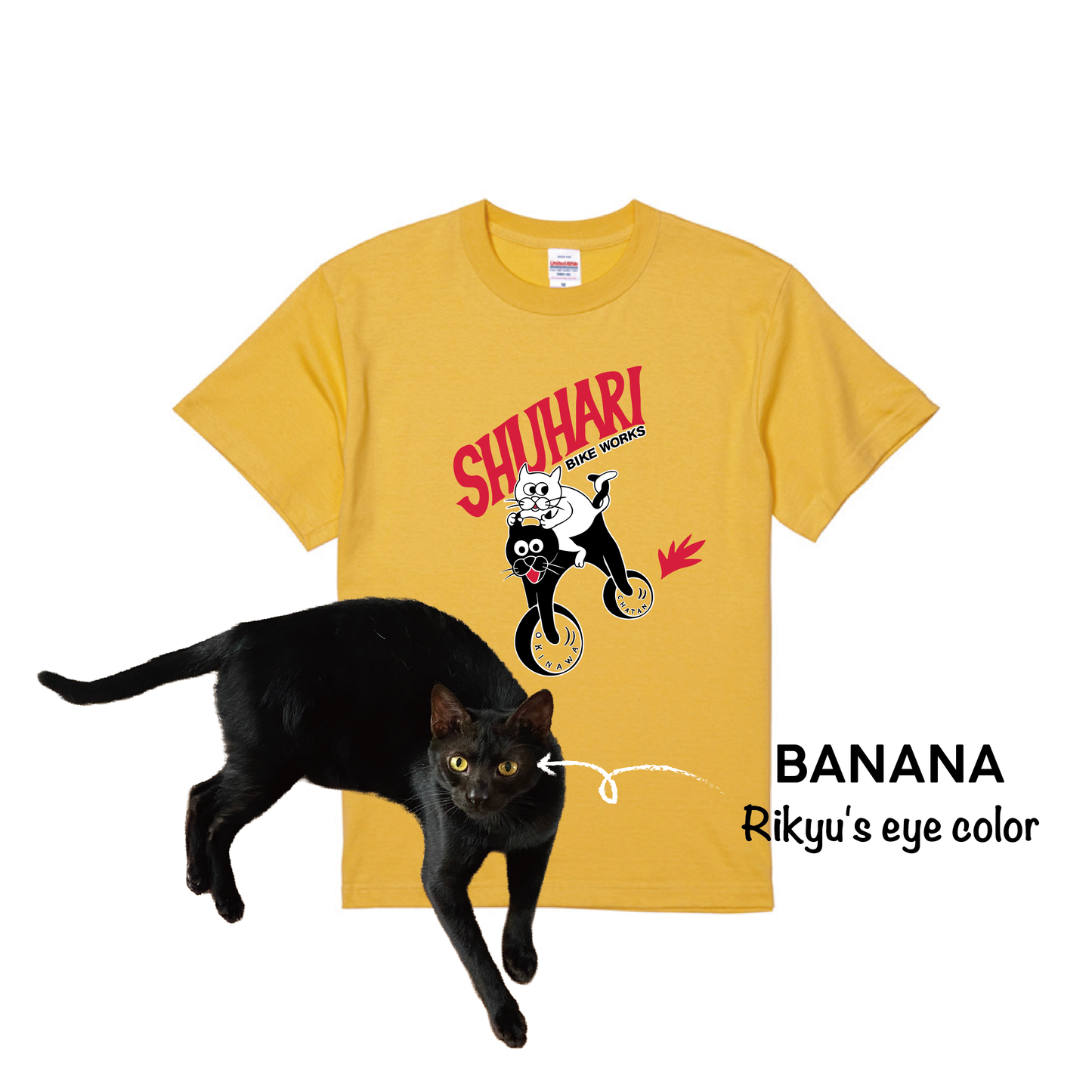 KID'S CATCYCLE TEE